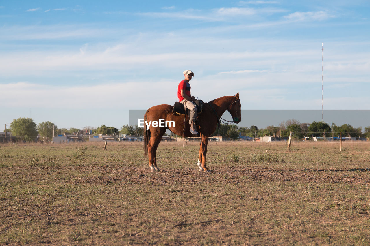 Portrait of horse rider in field