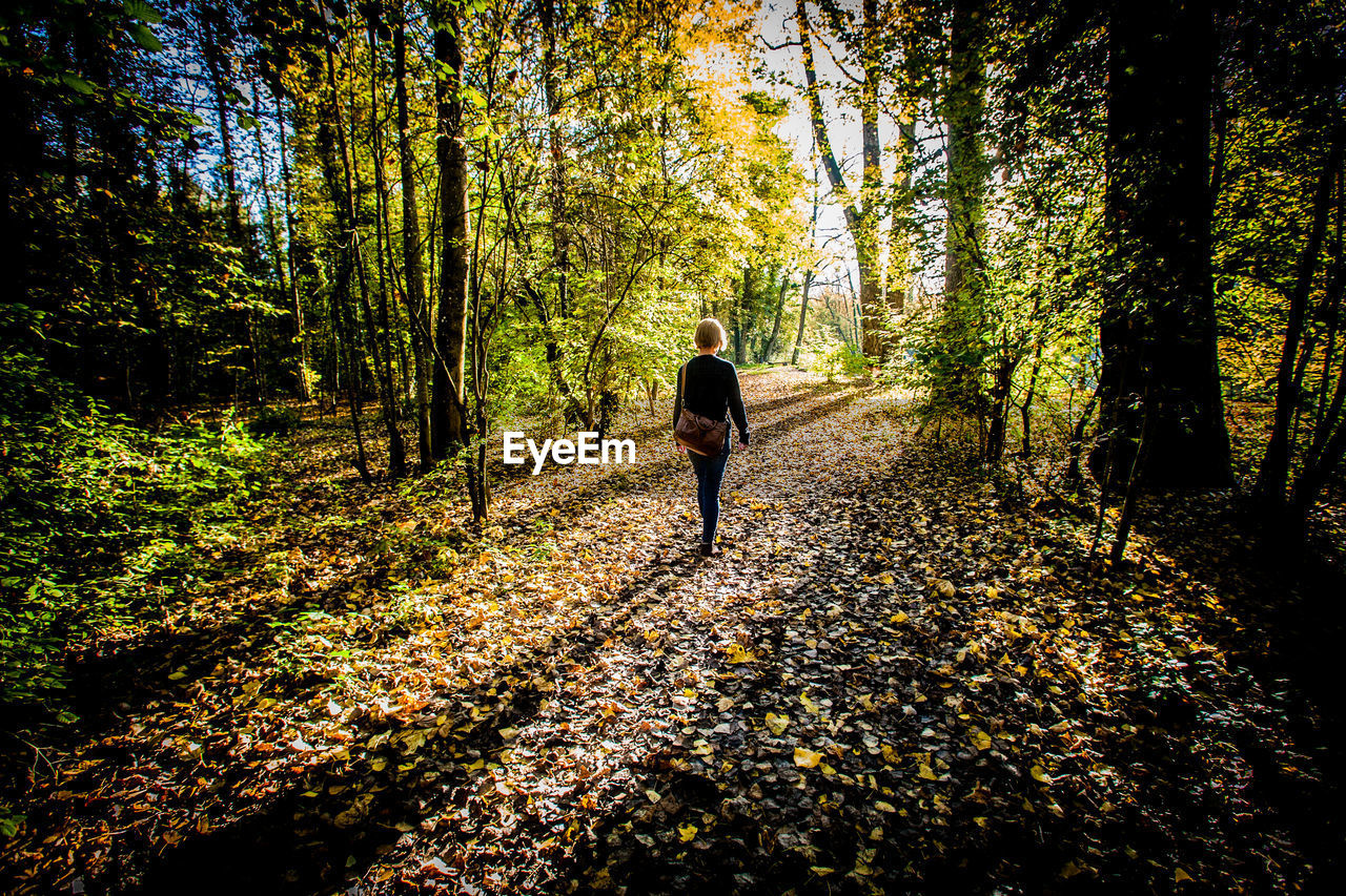Rear view of woman walking in forest