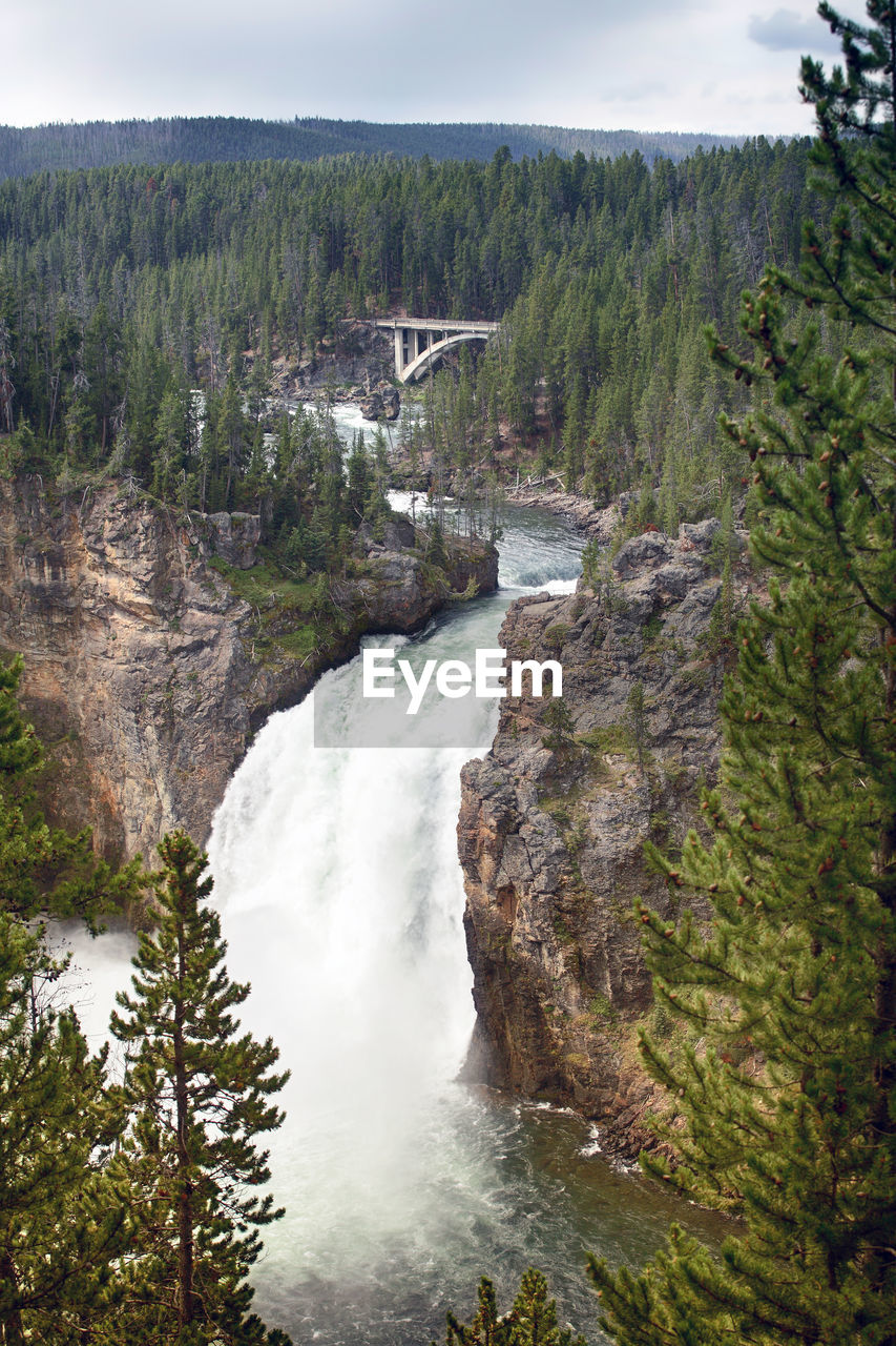 Scenic view of waterfall in forest