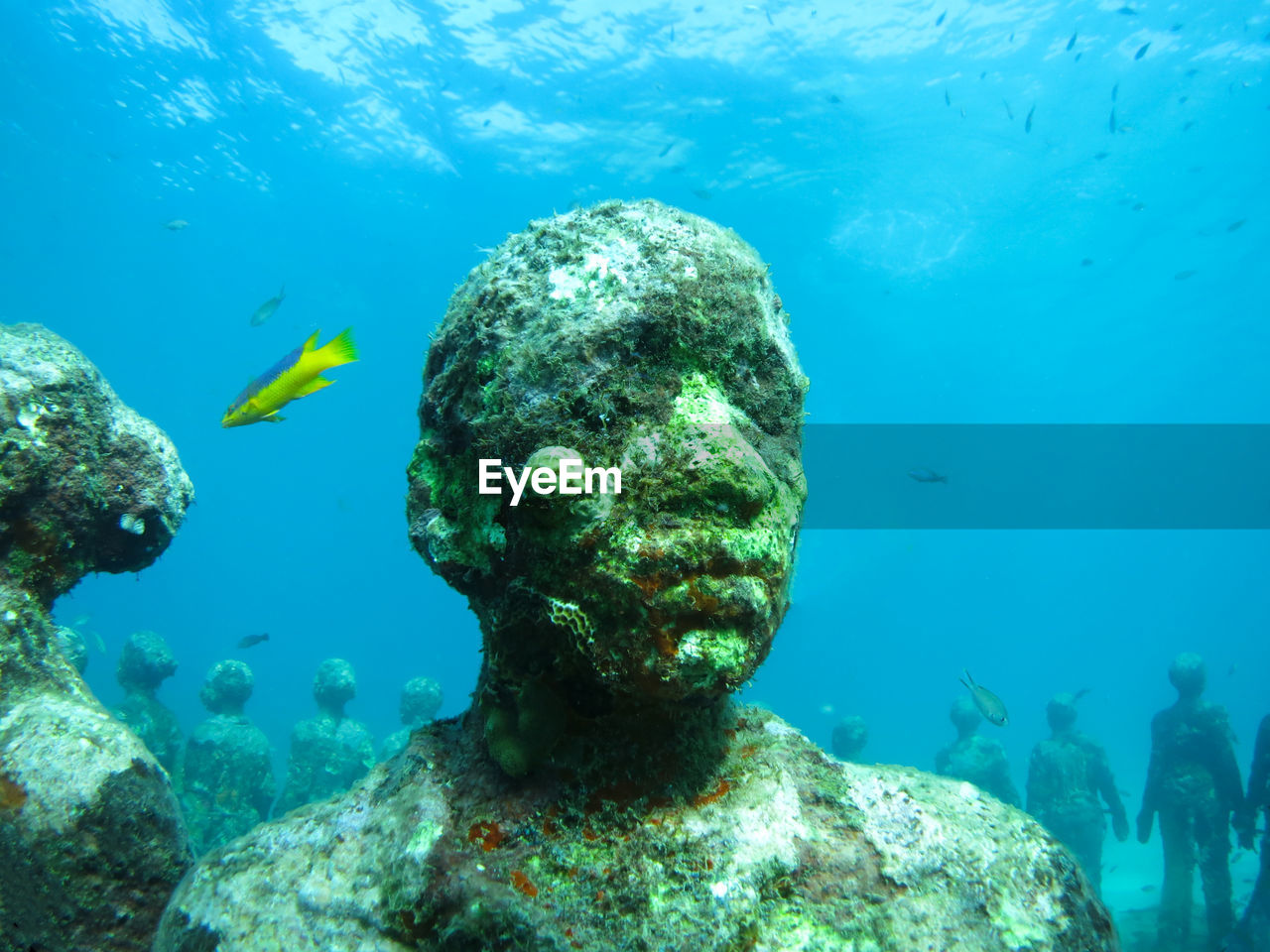 Underwater sculpture park at molinere bay