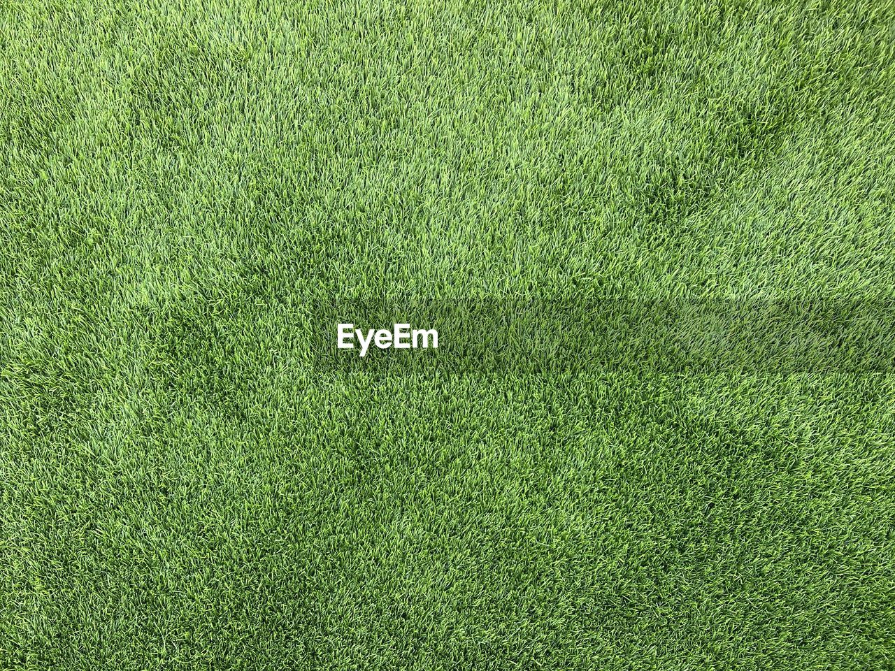 green, grass, plant, backgrounds, lawn, full frame, flooring, artificial turf, sports, textured, grassland, no people, turf, playing field, soccer field, nature, soccer, pattern, american football field, field, leaf, soil, team sport, high angle view, land, close-up, shrub, golf course, day, carpet, outdoors, golf, grass area