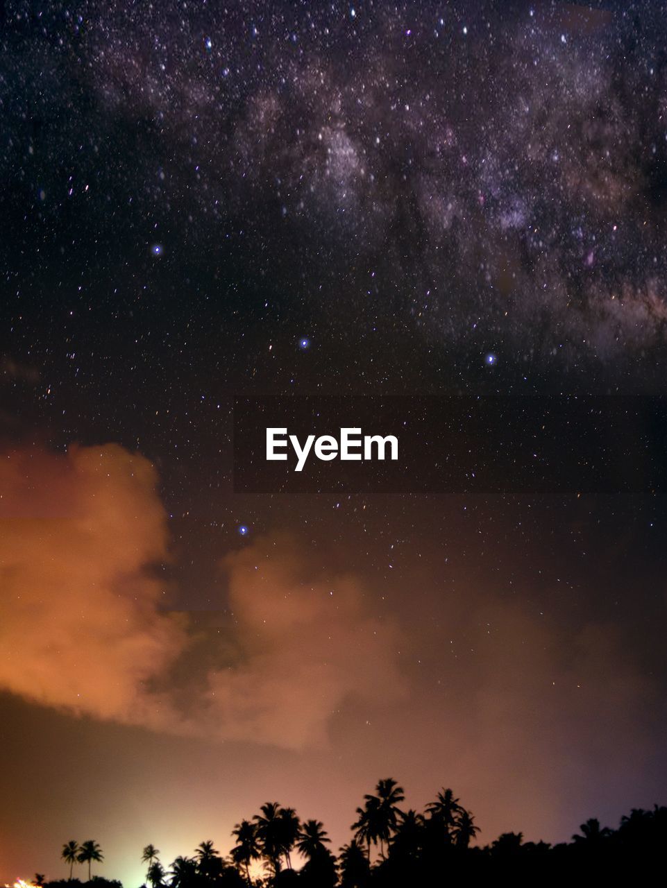 Low angle view of trees against sky at night