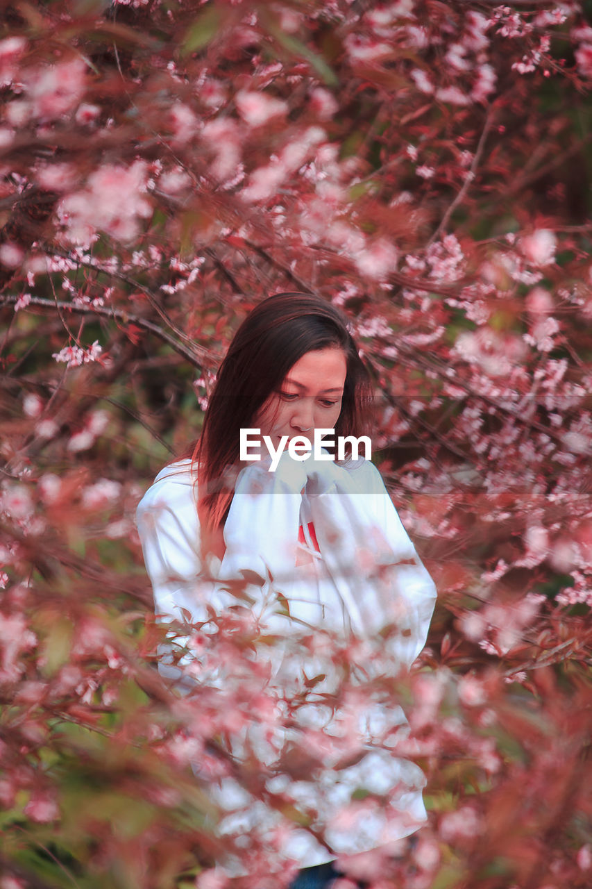 Woman standing by pink cherry blossom tree