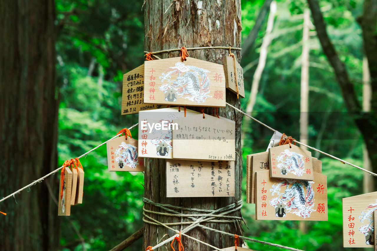 tree, hanging, plant, no people, nature, focus on foreground, communication, green, text, forest, day, tree trunk, outdoors, trunk, wood, land, script, spring