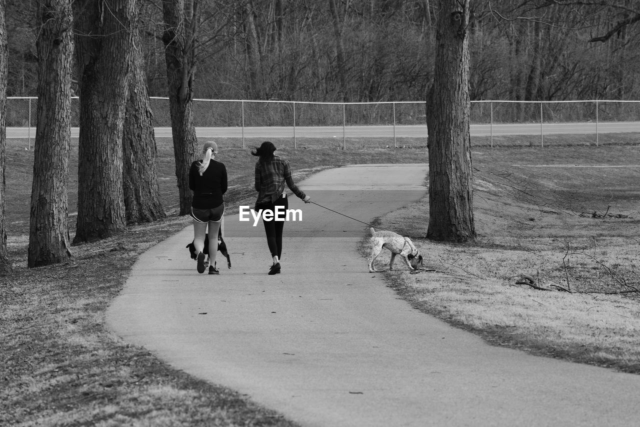 Rear view of women with dogs walking on narrow road