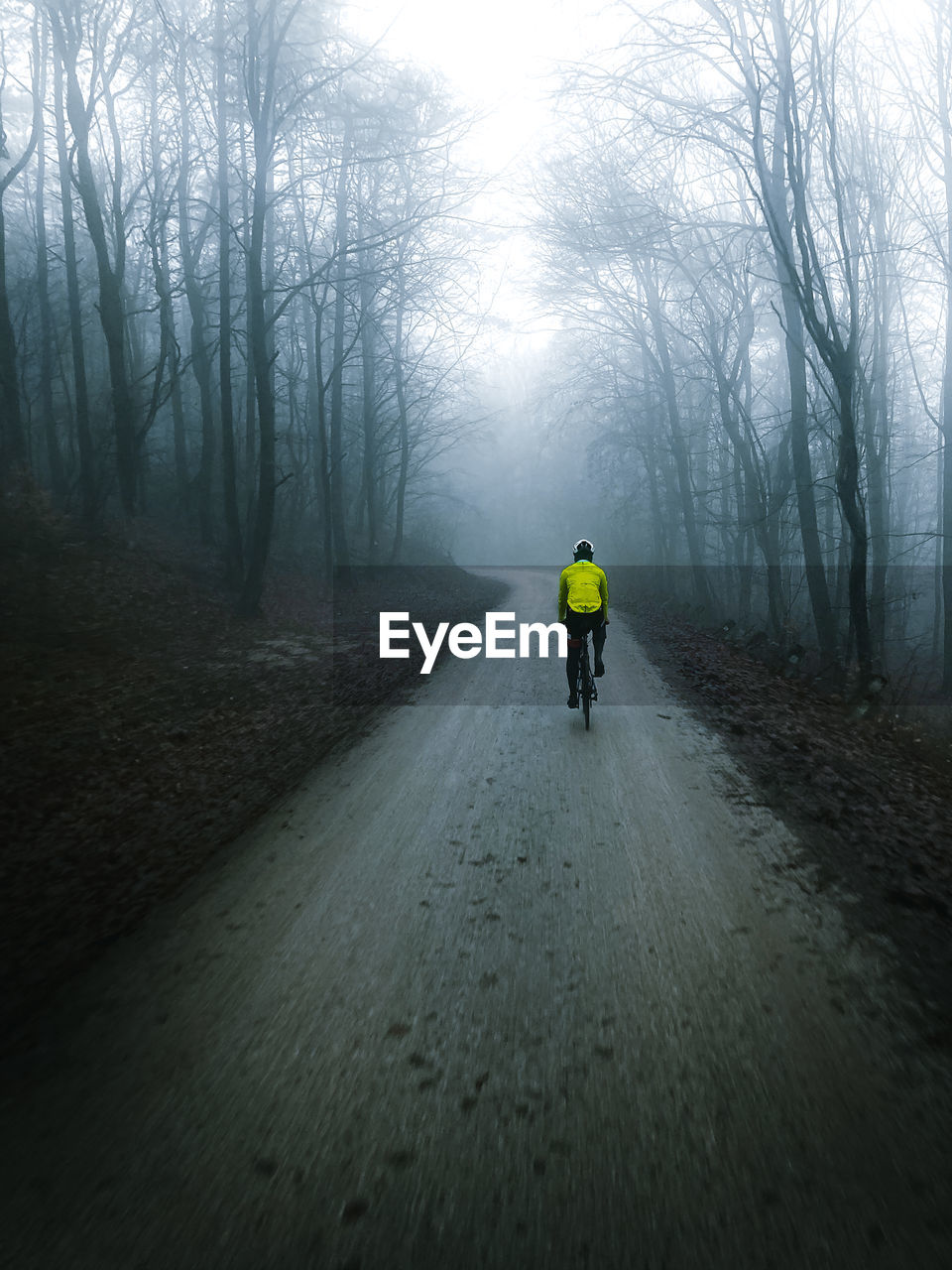 Rear view of man cycling on road in forest