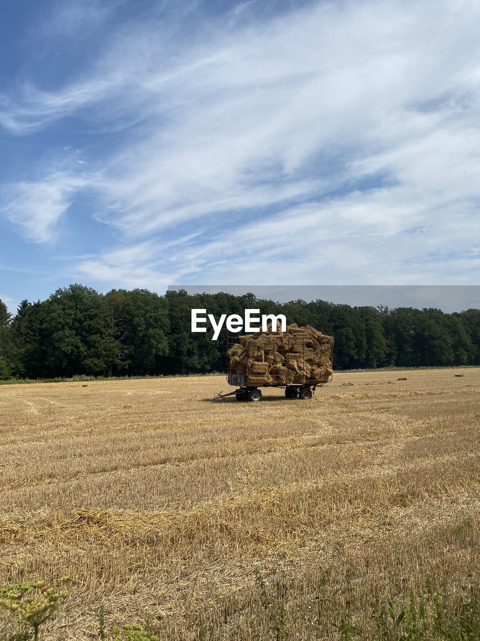 HAY BALES IN FIELD AGAINST SKY