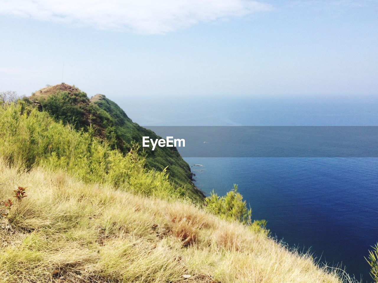 SCENIC VIEW OF SEA BY TREES AGAINST SKY