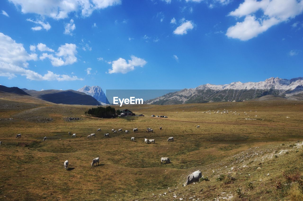 Scenic view of landscape and mountains against sky