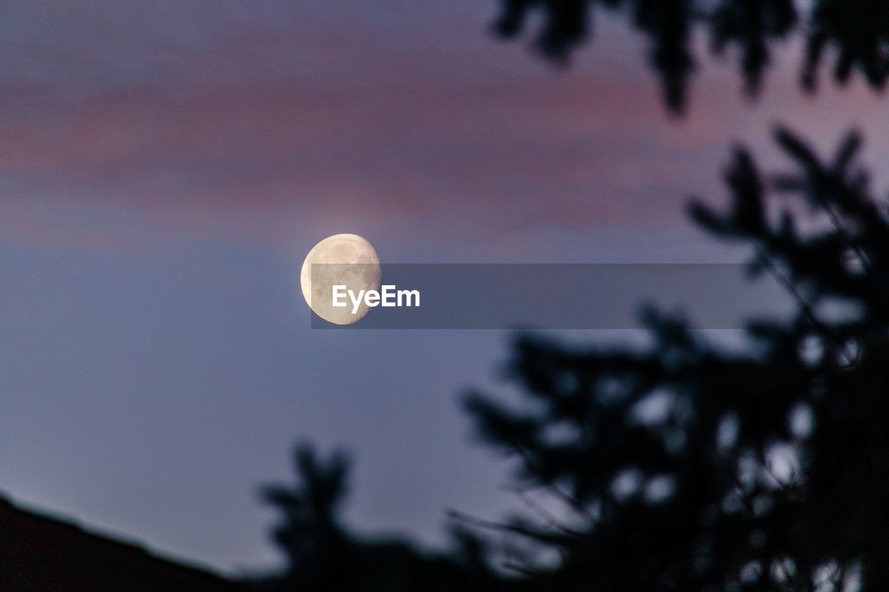 Moon shining bright in the sky at dawn