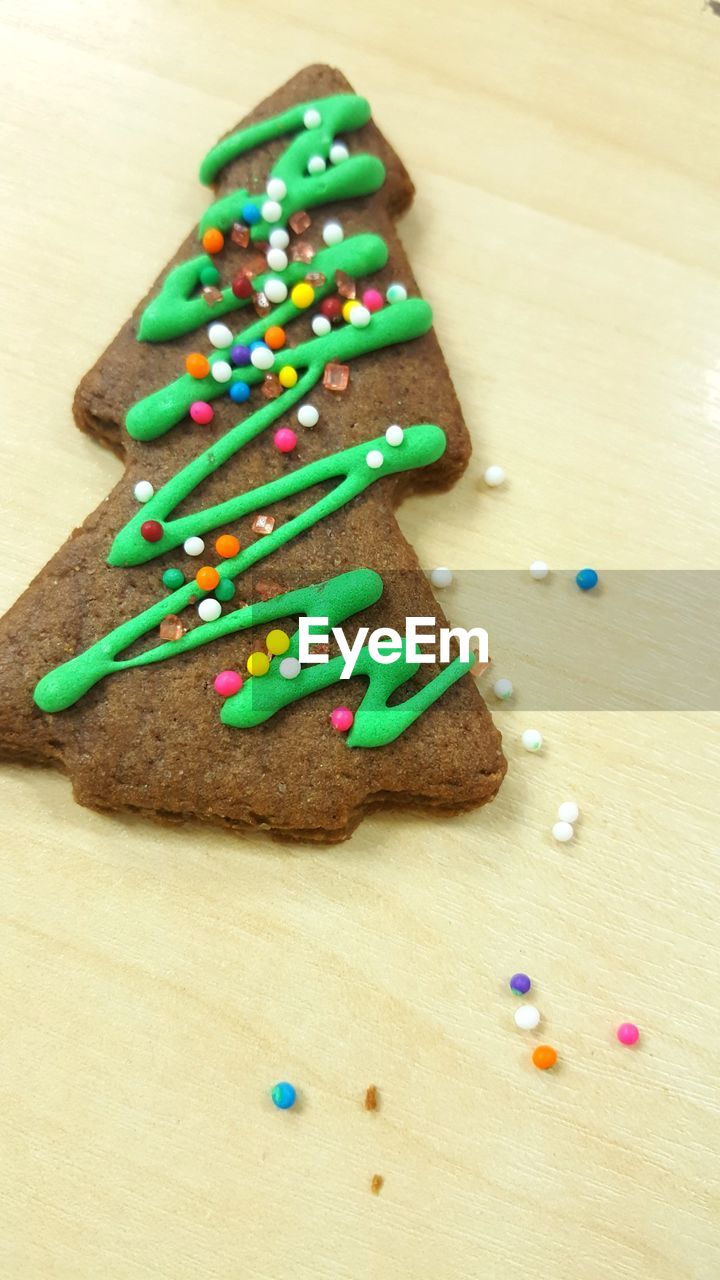 CLOSE-UP OF MULTI COLORED CHRISTMAS TREE