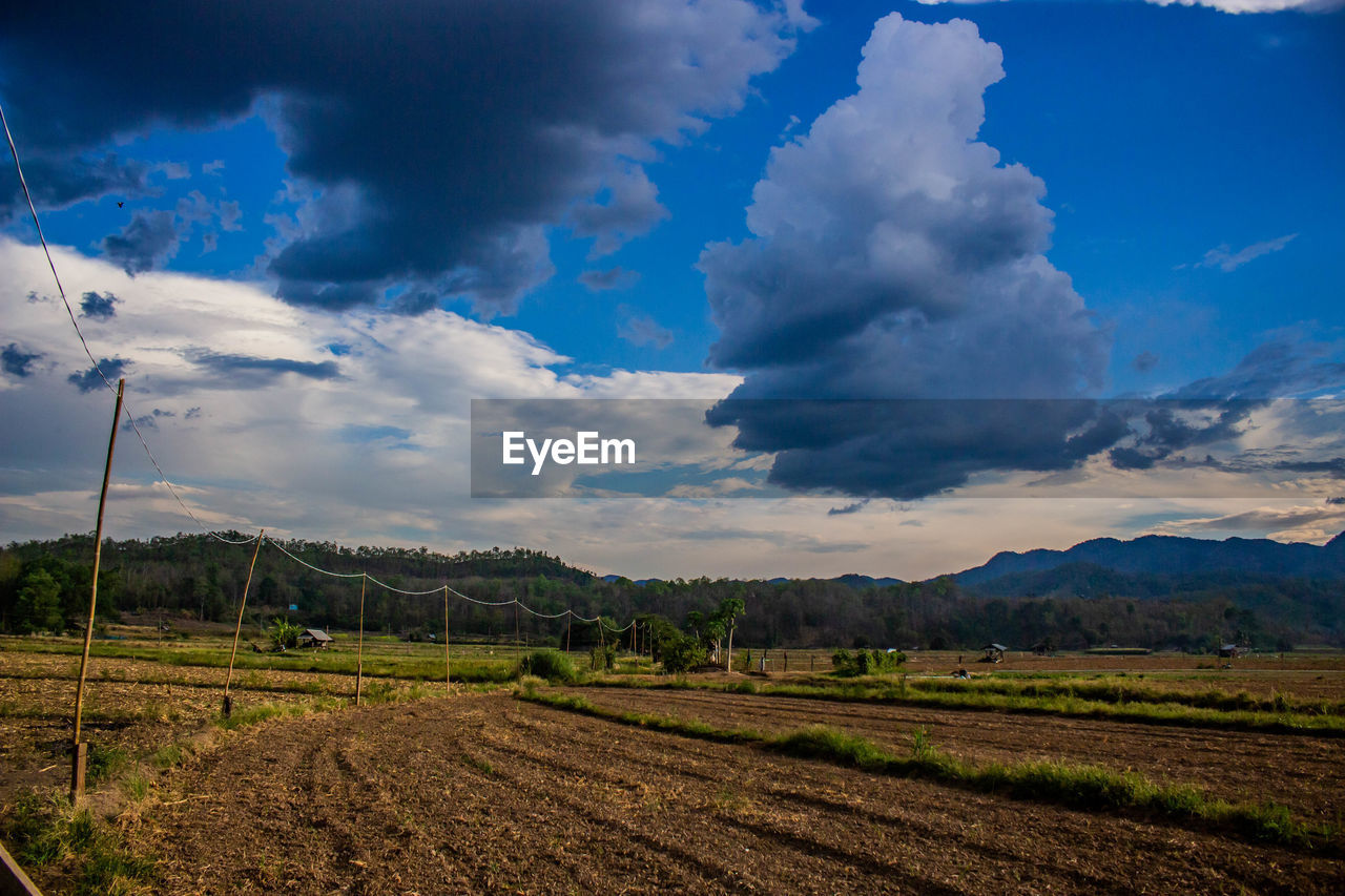 Scenic view of agricultural field against sky