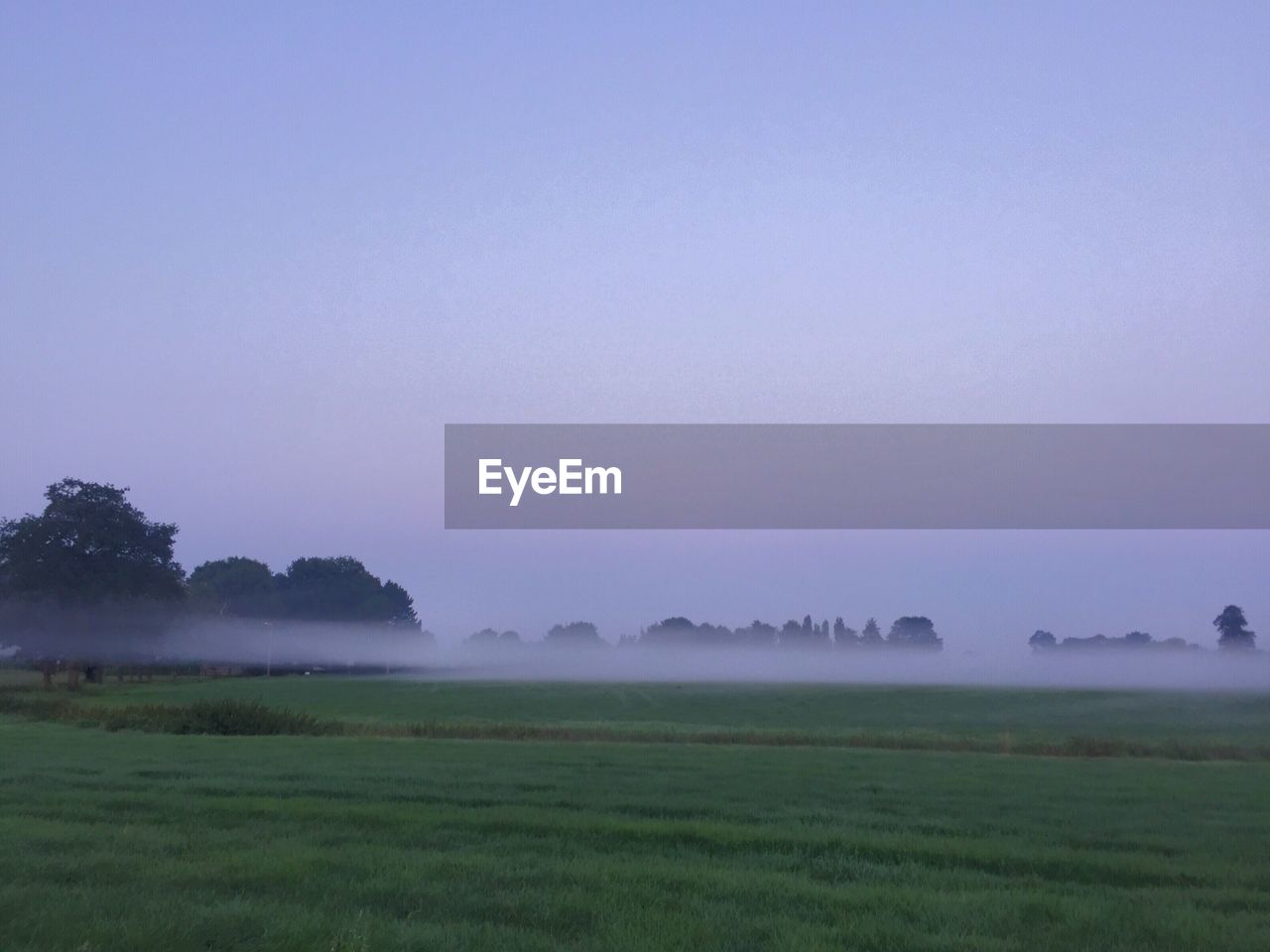 Scenic view of field against clear sky