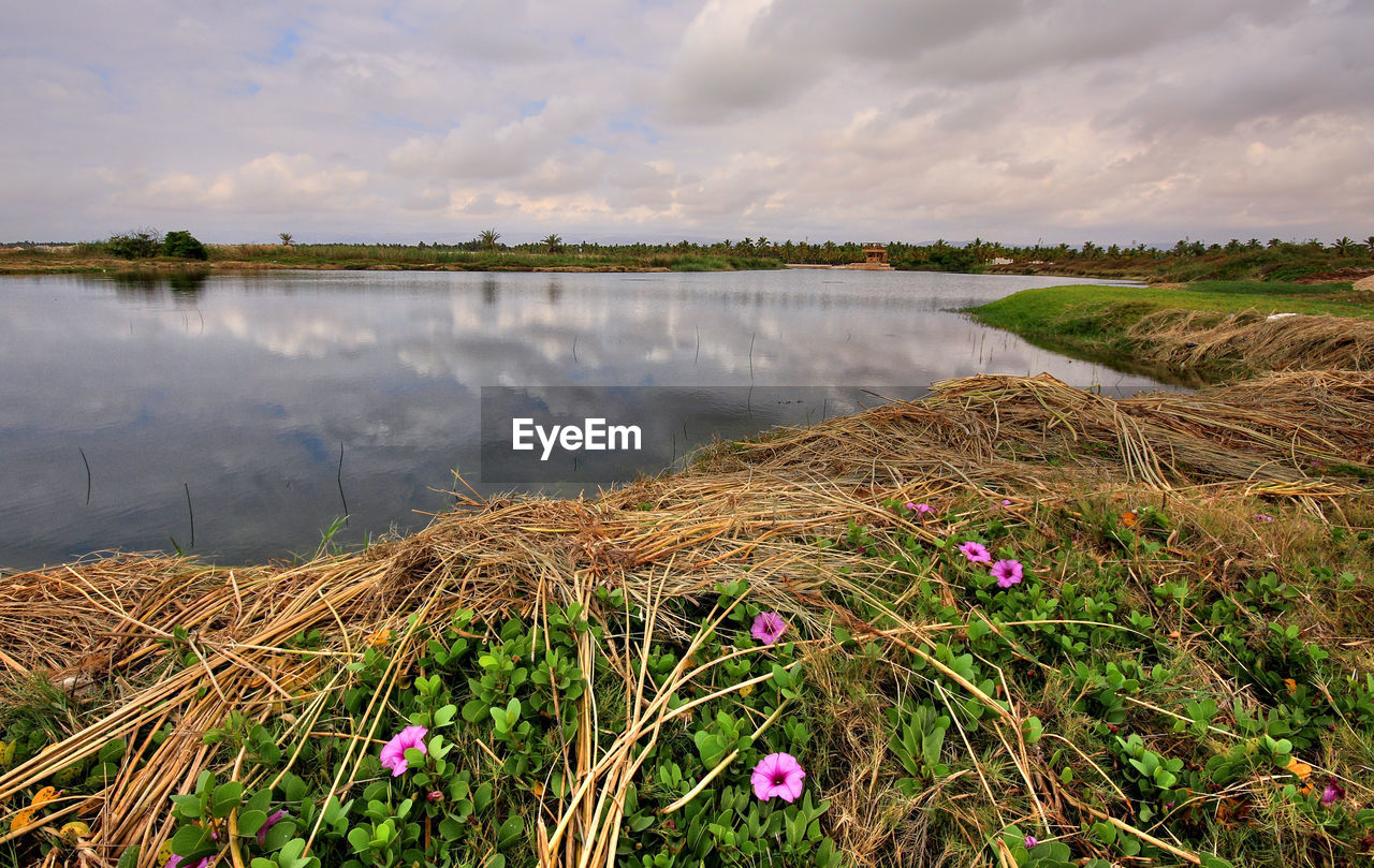 Scenic view of lake against sky