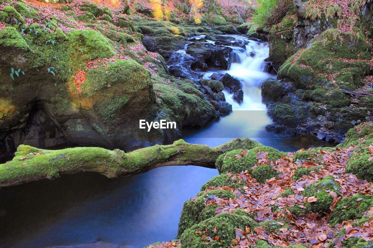 SCENIC VIEW OF WATERFALL