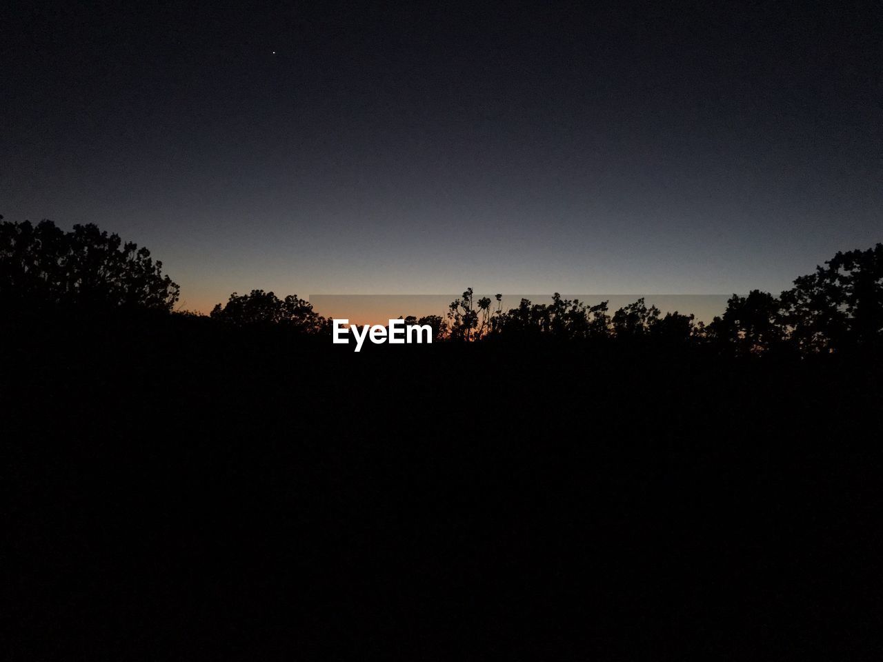 SILHOUETTE TREES ON LANDSCAPE AGAINST CLEAR SKY