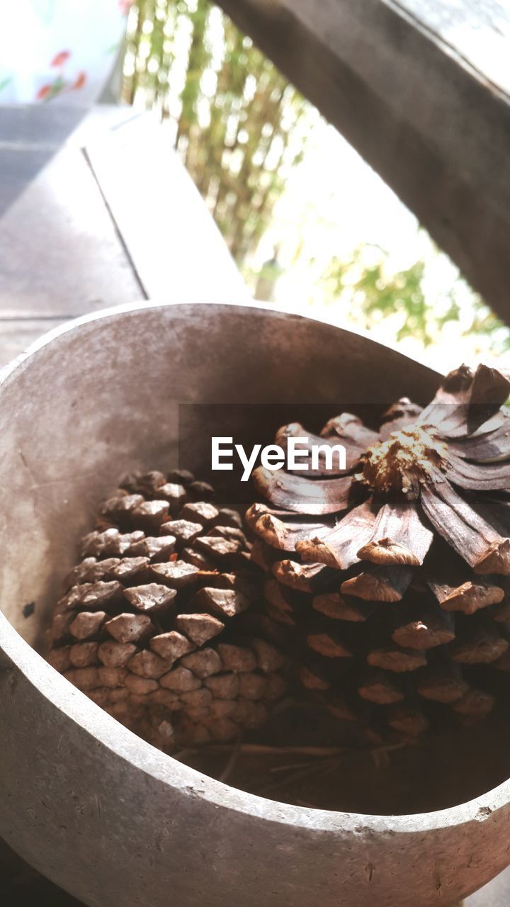 Close-up of pine cone in bowl