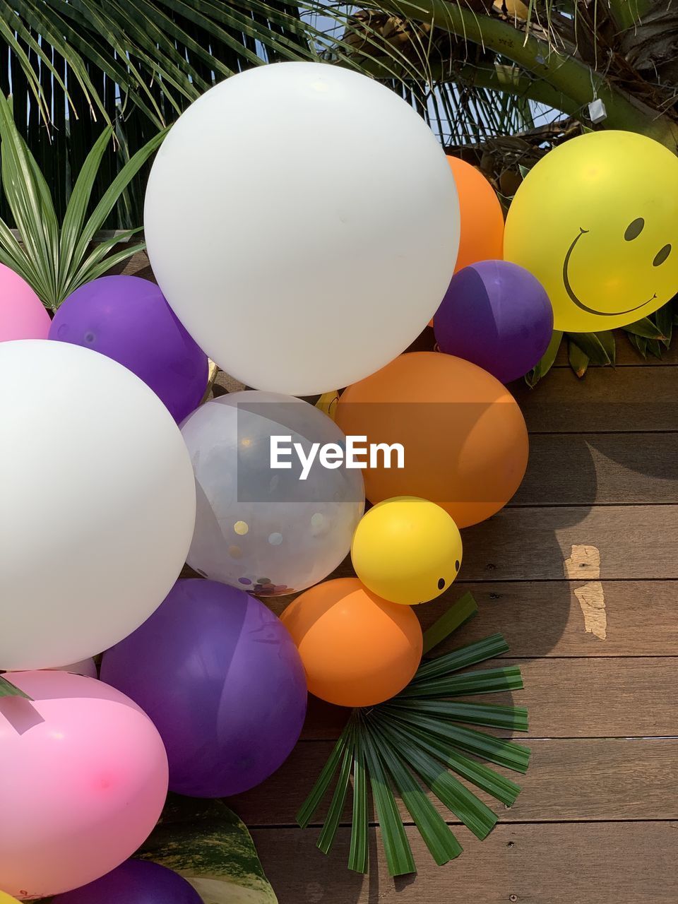 HIGH ANGLE VIEW OF BALLOONS ON PLANT