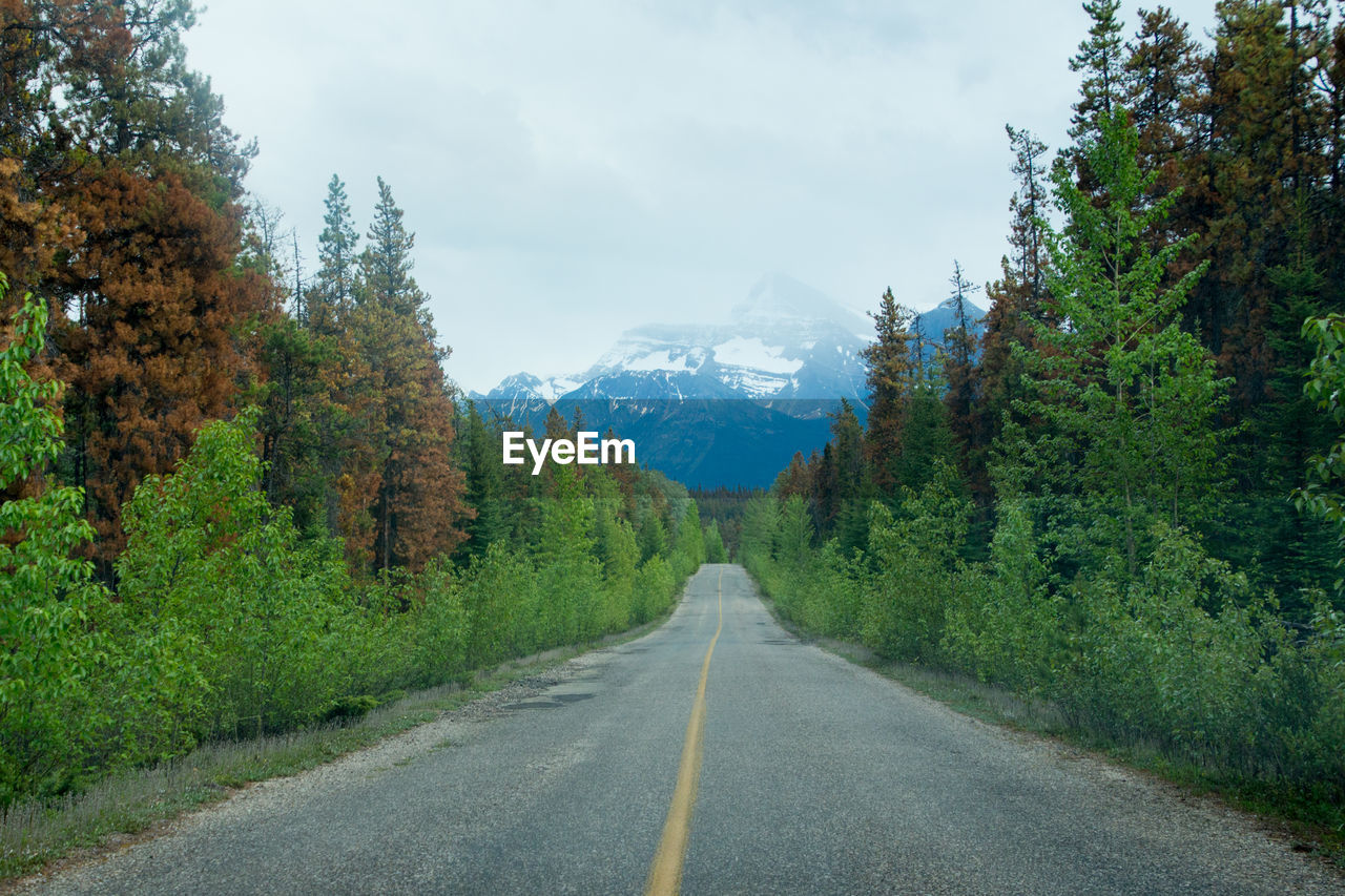 ROAD AMIDST TREES AND MOUNTAINS AGAINST SKY