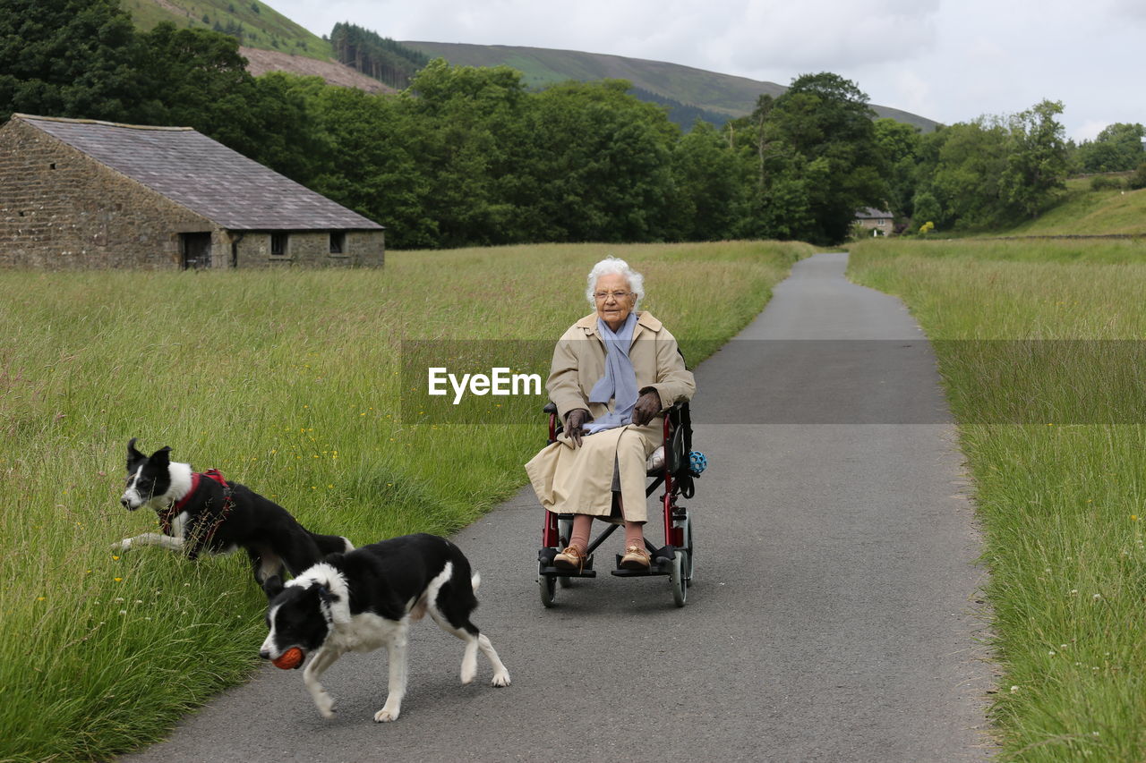 Mature woman in wheelchair playing with two dogs