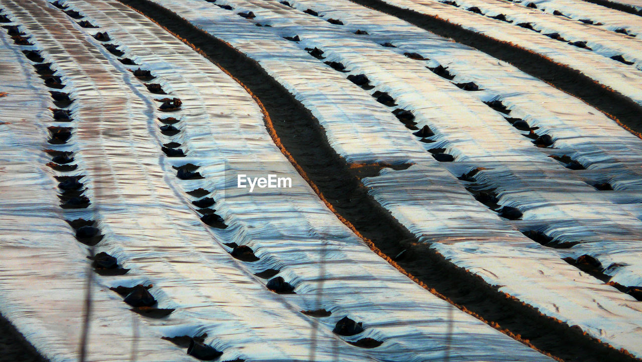 FULL FRAME SHOT OF TEXTURED WOOD