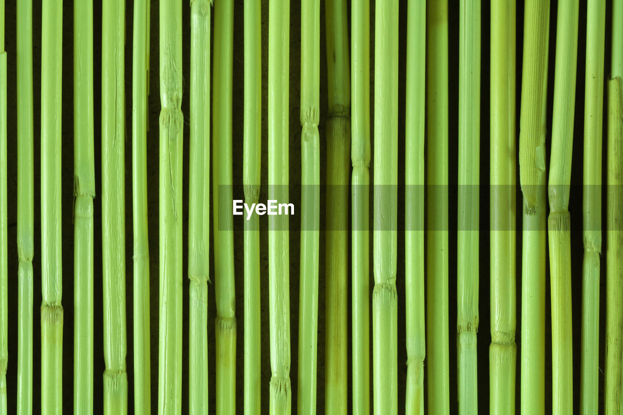 FULL FRAME SHOT OF GREEN BAMBOO