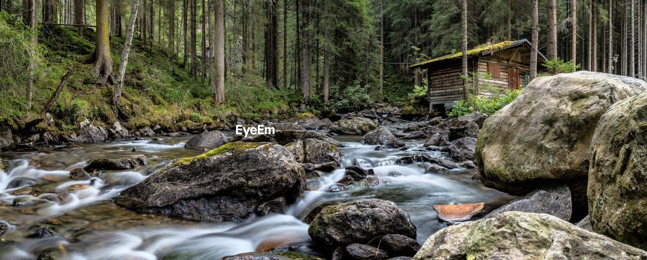 Stream flowing through rocks in forest