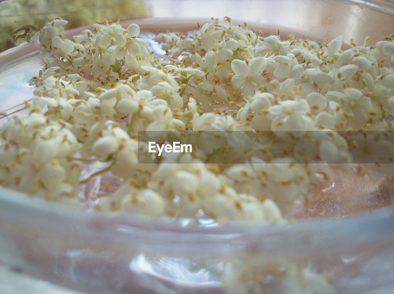 CLOSE-UP OF FOOD IN BOWL