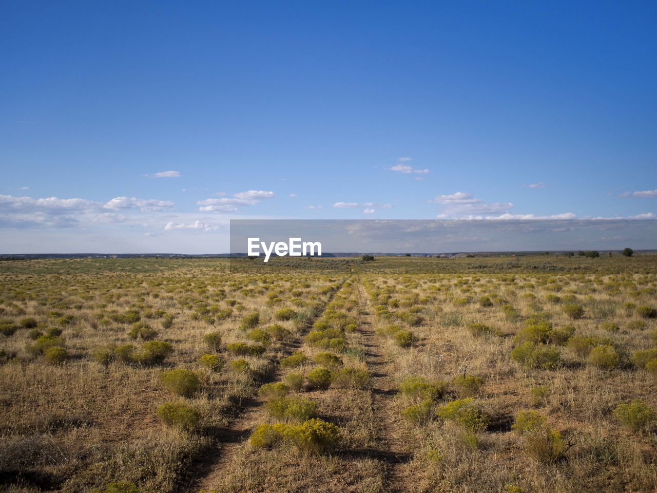 Scenic view of field against blue sky