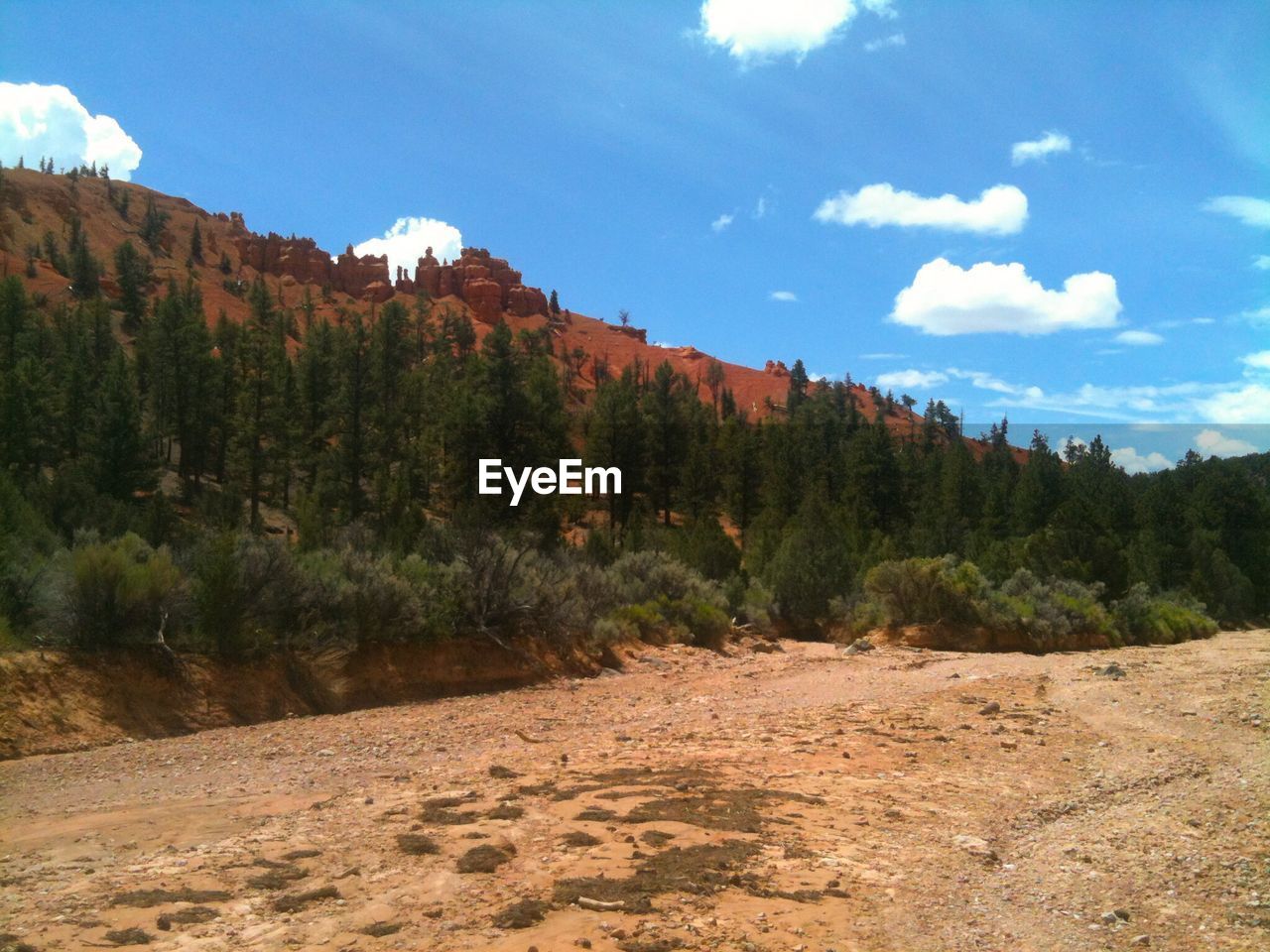 SCENIC VIEW OF LAND AGAINST SKY