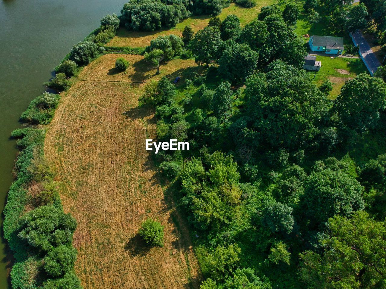 HIGH ANGLE VIEW OF TREES GROWING IN FIELD