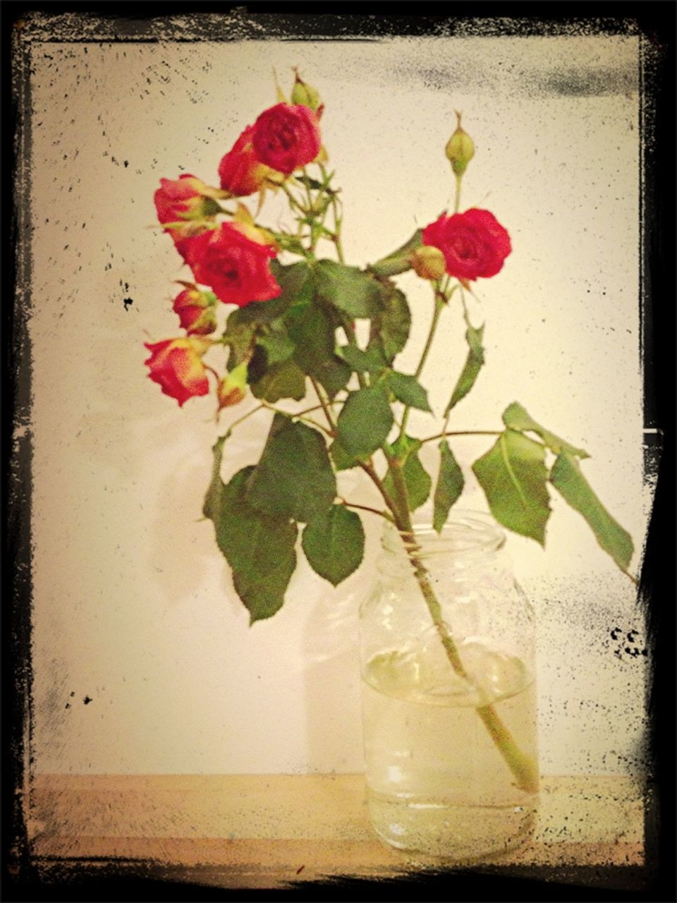 CLOSE-UP OF FLOWERS IN VASE