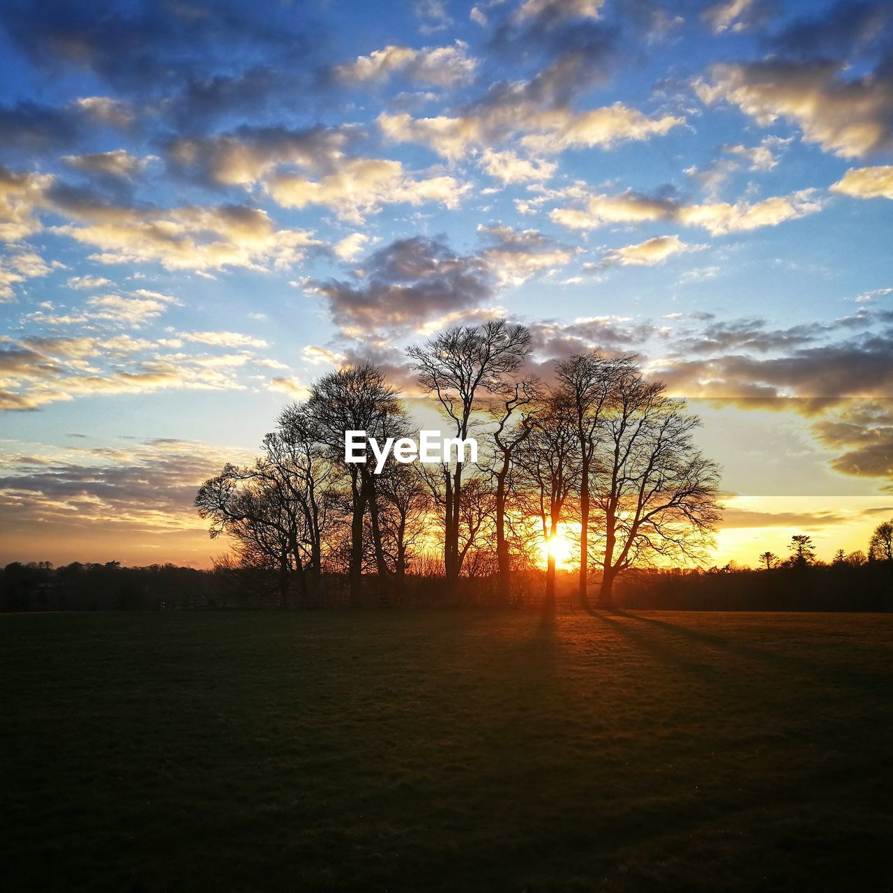 SILHOUETTE BARE TREES ON FIELD AGAINST SKY DURING SUNSET