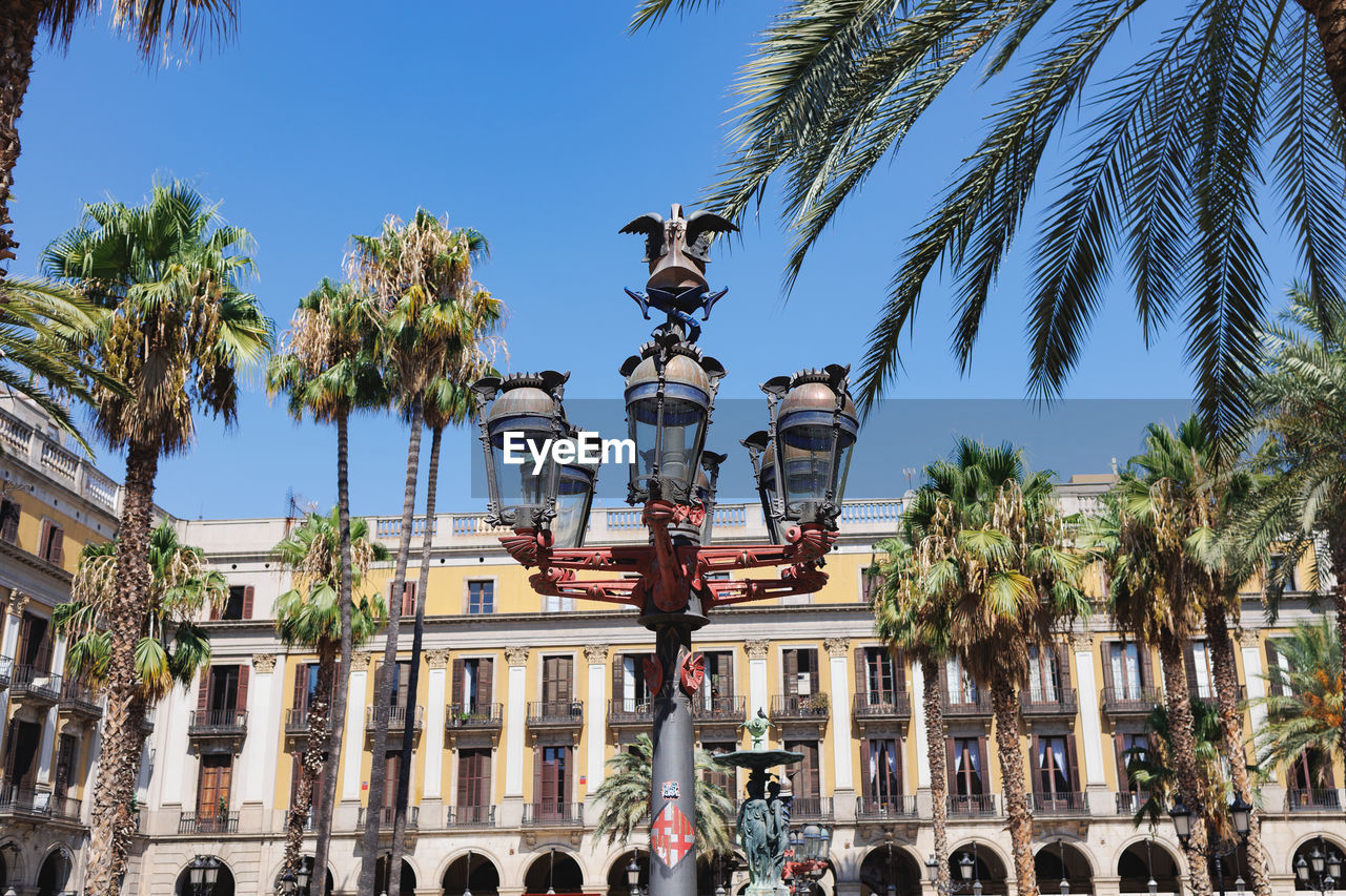 palm tree, tropical climate, tree, architecture, plaza, landmark, travel destinations, built structure, town square, plant, building exterior, tourism, sky, nature, travel, city, vacation, resort, palace, history, day, the past, clear sky, sculpture, outdoors, building, blue, statue, date palm tree, tourist, sunny, trip, low angle view, holiday