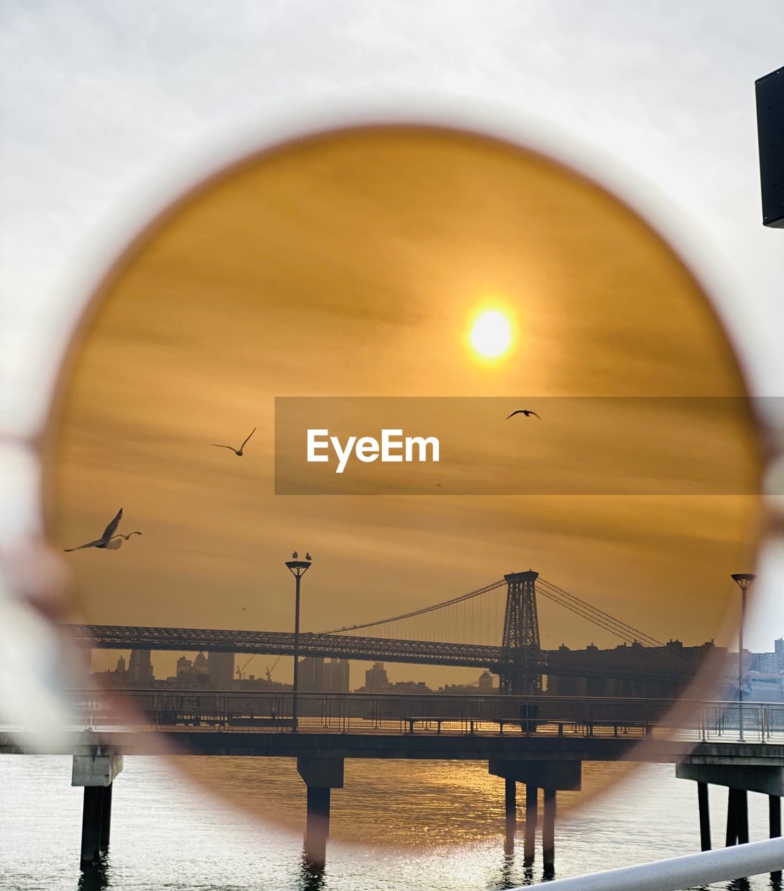 Birds flying over bridge and sea during sunset seen through sunglasses