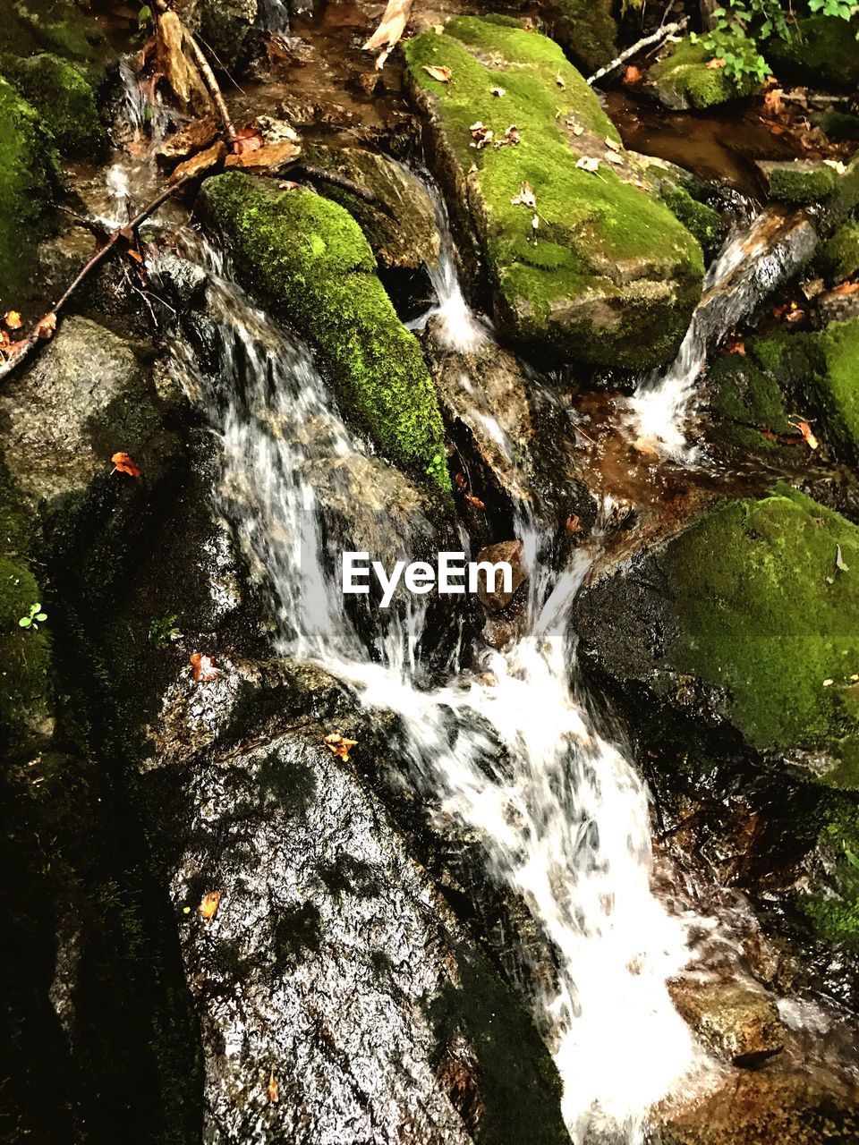 WATERFALL IN FOREST