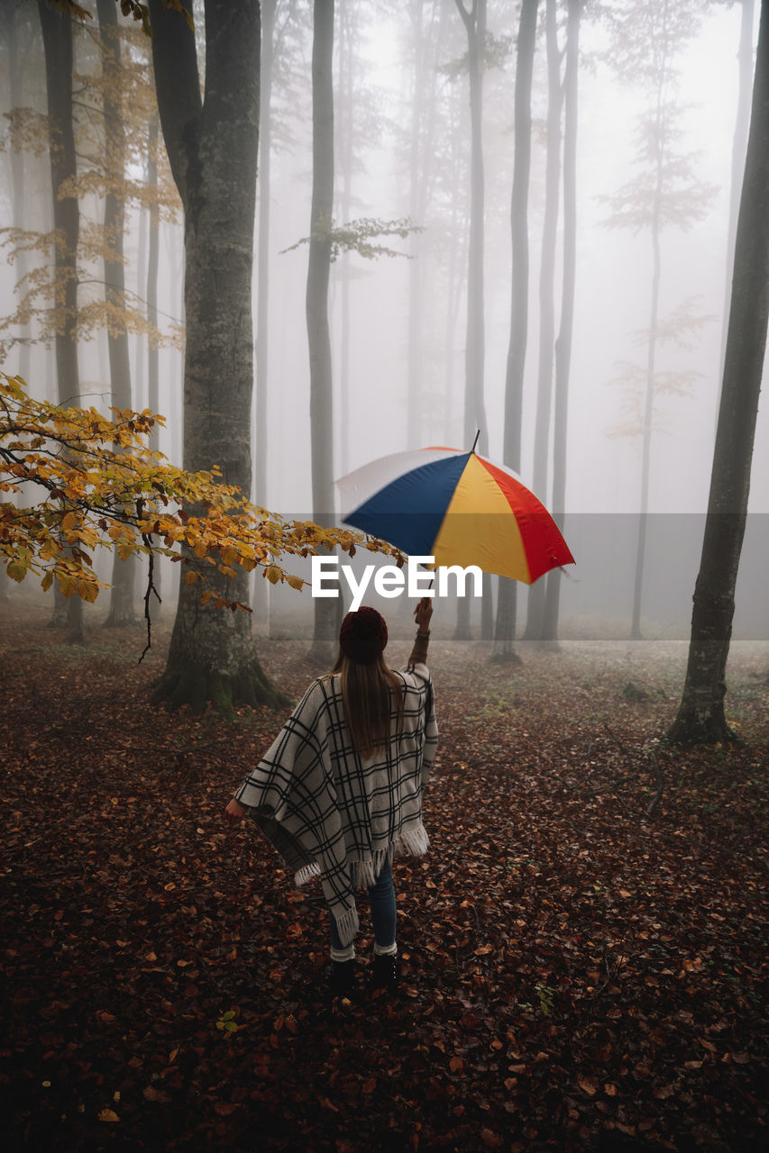 Young female wearing poncho in the forest and holding a multicolored umbrella. rainy autumn season.