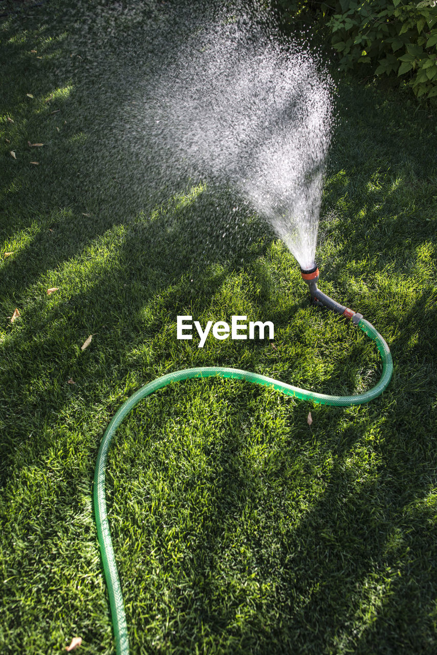 Water spraying from garden hose on field