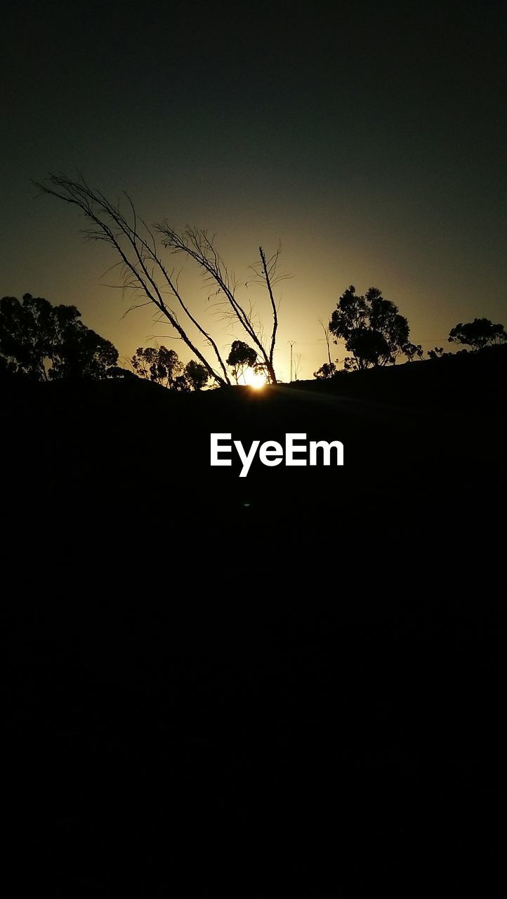 SILHOUETTE TREES ON FIELD AGAINST SKY DURING SUNSET