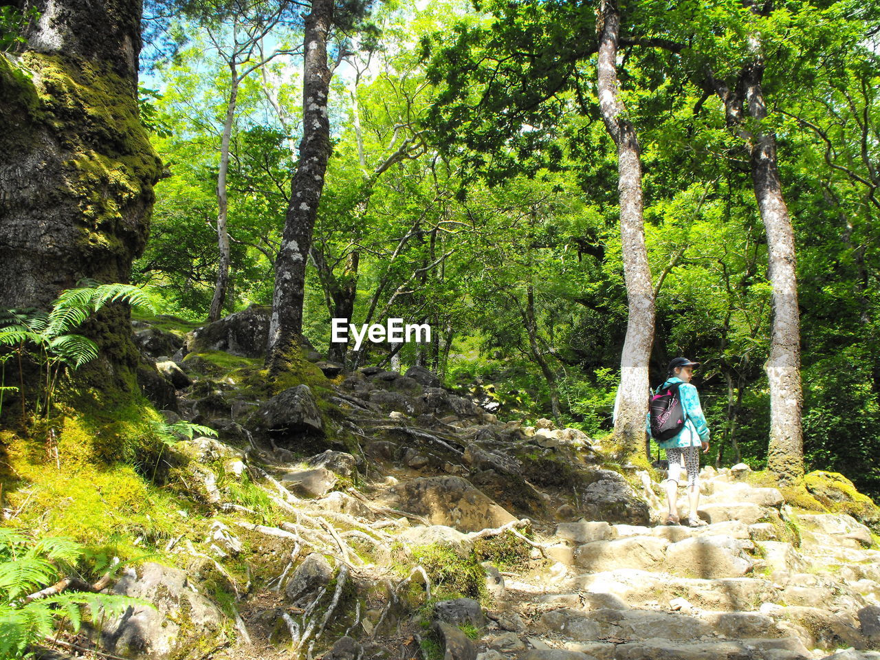 MAN STANDING IN FOREST