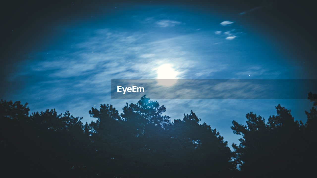 LOW ANGLE VIEW OF SILHOUETTE TREES AGAINST SKY