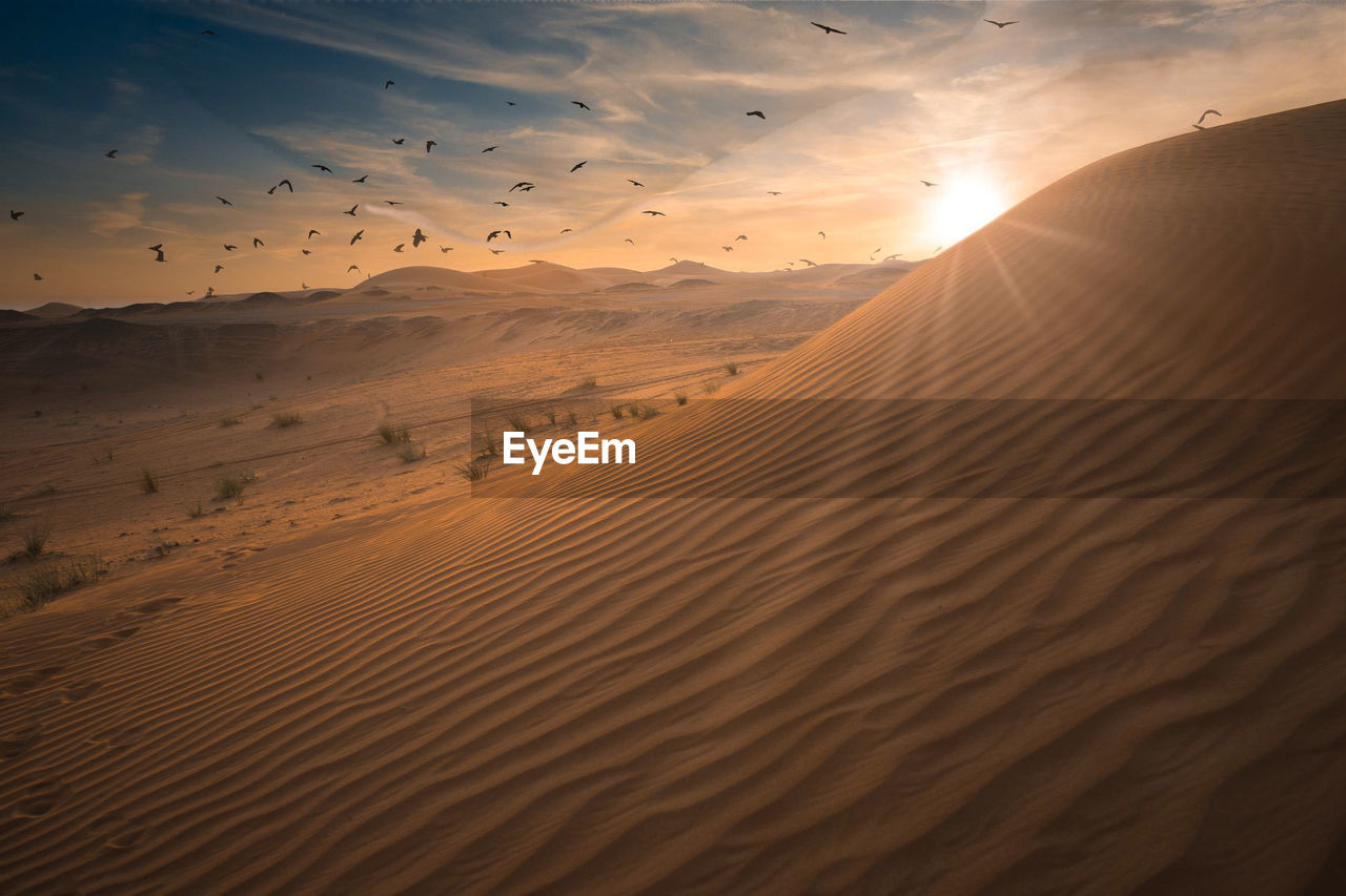 Scenic view of desert during sunset