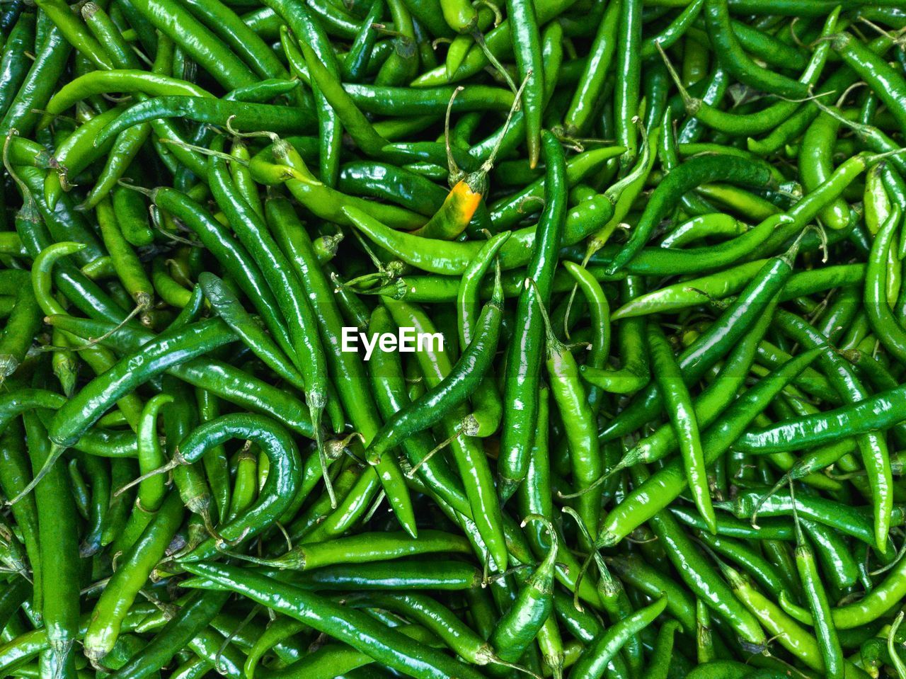 FULL FRAME SHOT OF GREEN CHILI PEPPERS