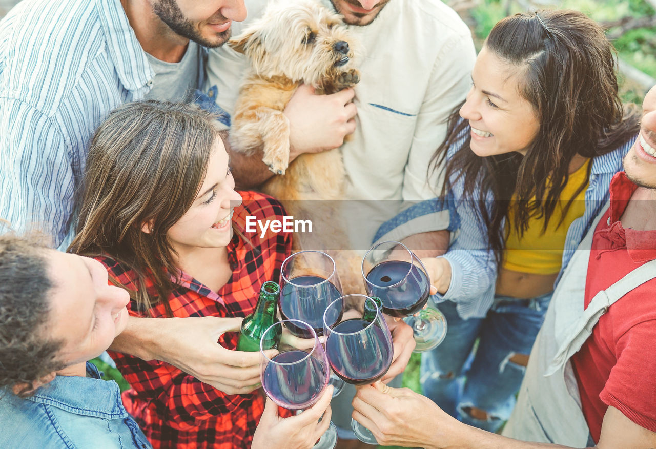 High angle view of happy friends toasting wineglasses during social gathering