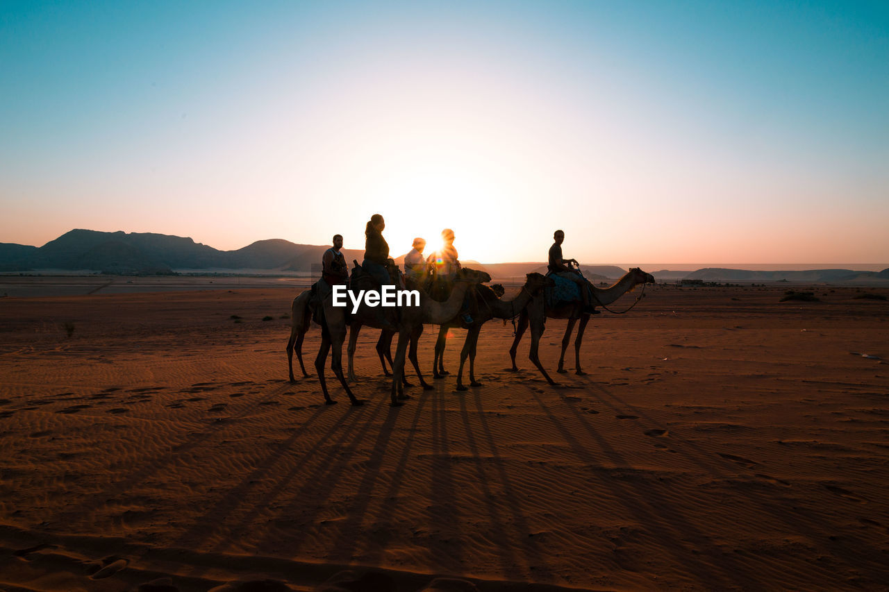 People riding camel on sand in desert at wadi rum against clear sky