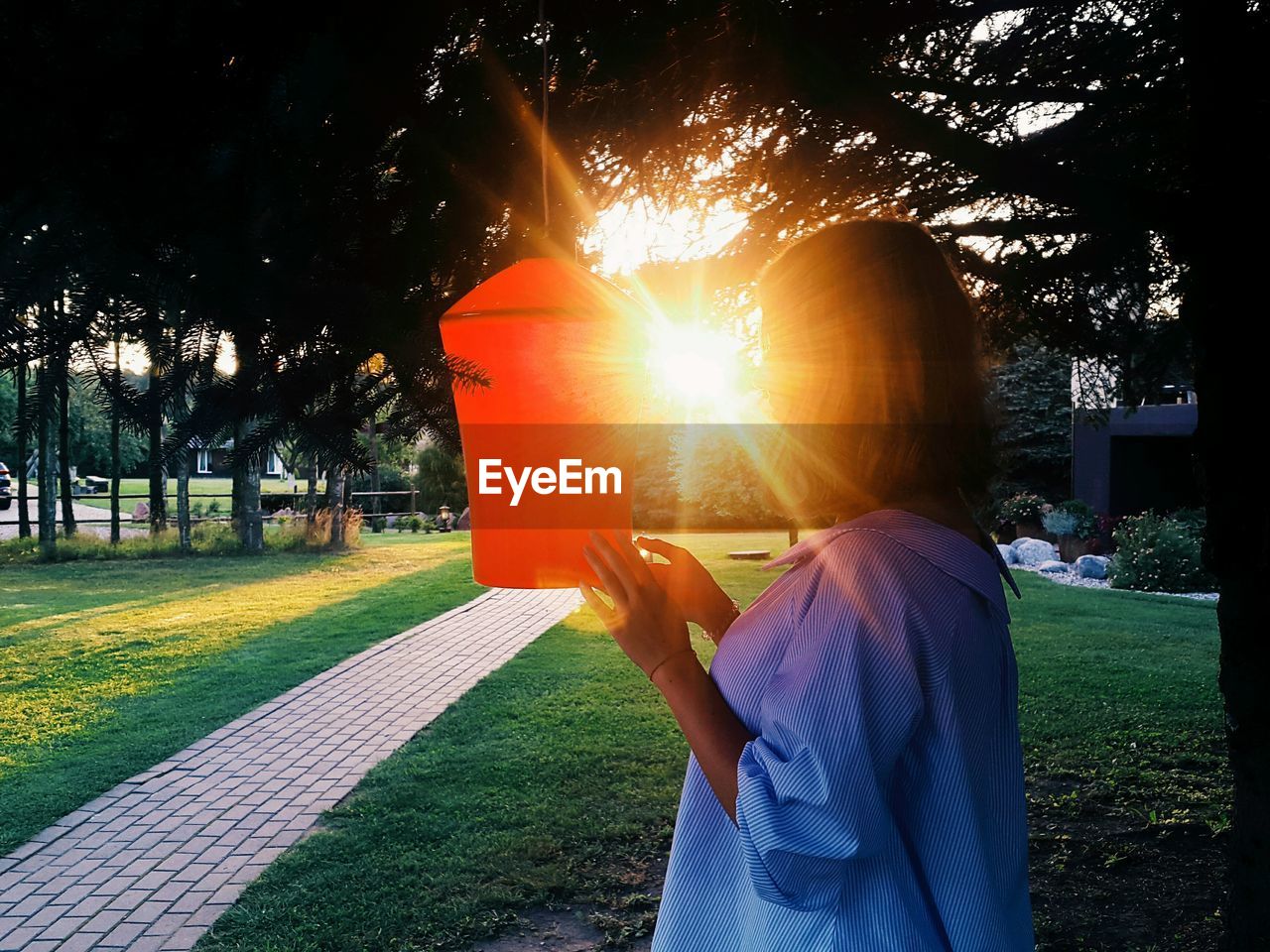 Woman standing by tree in park during sunset