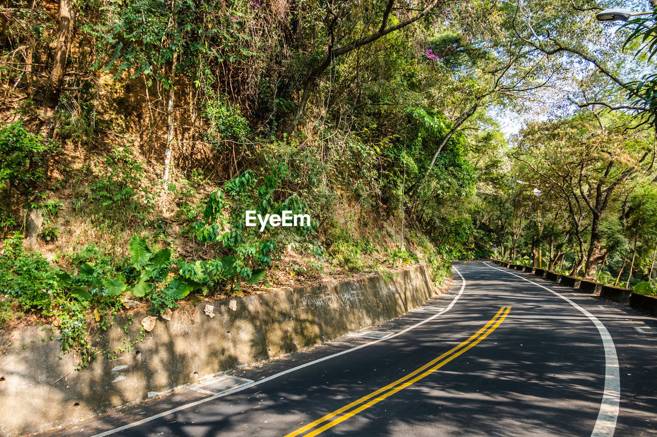 ROAD BY TREES