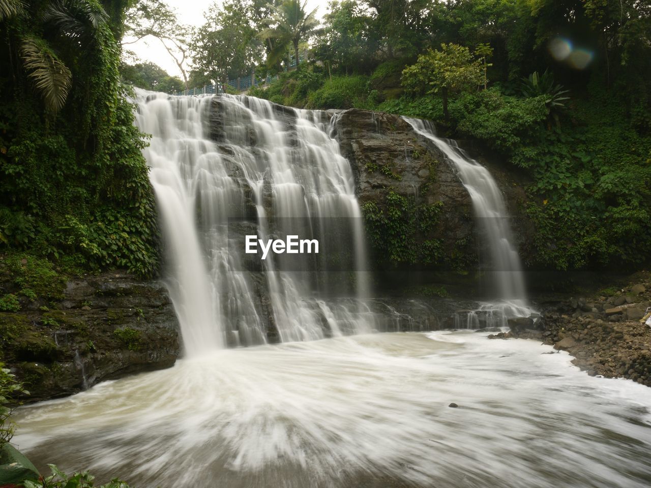 Low angle view of waterfall over rocks at forest