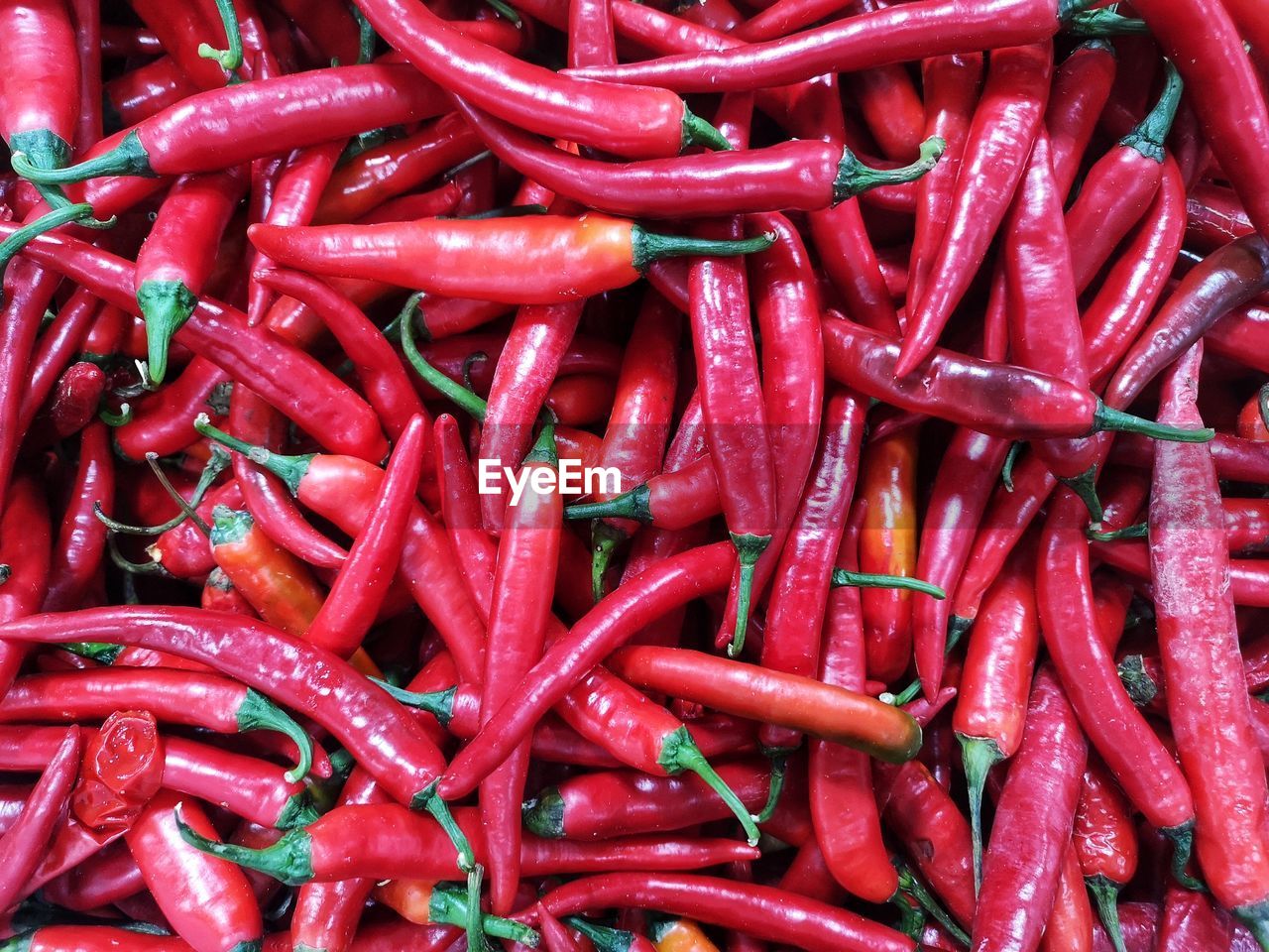 FULL FRAME SHOT OF RED CHILI PEPPERS AT MARKET