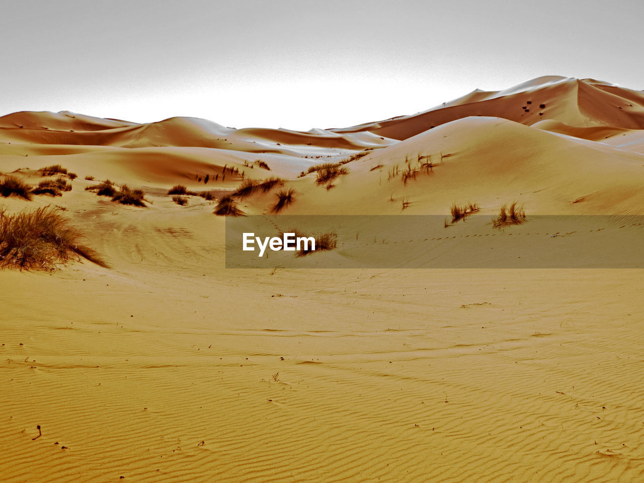 Scenic view of desert against sky